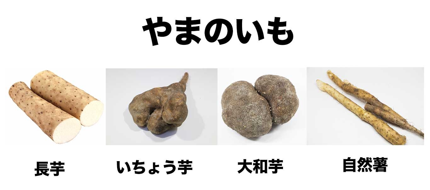 みくりや青果グループ-青果の豊かな未来へ、ともに。-